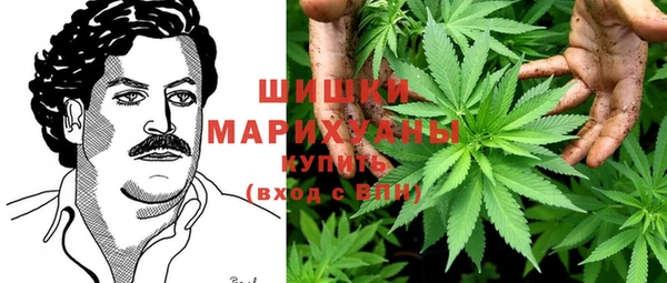 ALPHA PVP Бородино